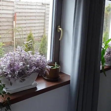 بيت للعطل Estancja - *