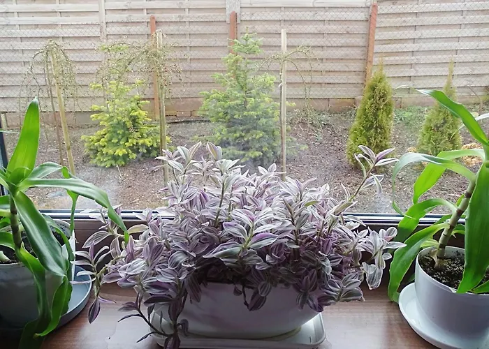 Prázdninový dům Estancja -