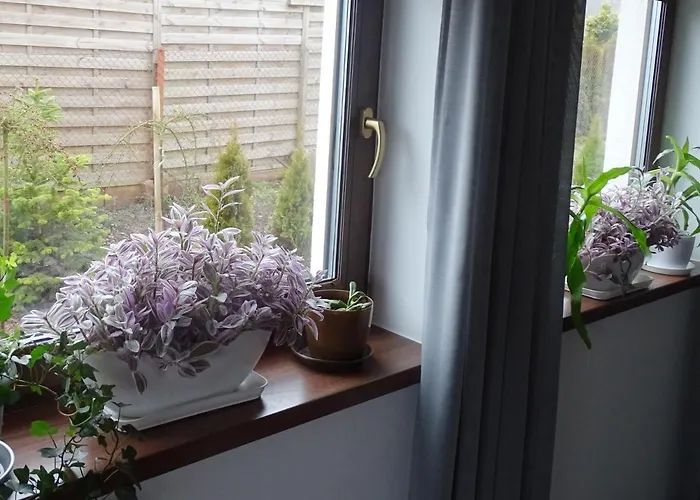 Prázdninový dům Estancja - *